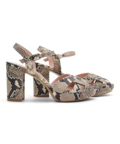 Modaora.shopacc21eb56b 2